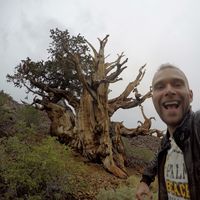 Michał Wielgosz's Photo