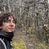 Chris Morello的照片