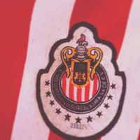 Francisco Rivas's Photo