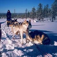 Fotos de Anna Raiskio