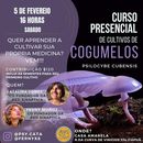 Foto de Curso Presencial De Cultivo De Cogumelos