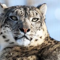 Fotos von Angela Tebieva