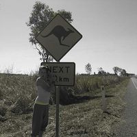 Melanie Tozzi's Photo