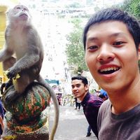 Fotos de Xiaolin Chen