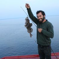 Adrien Belkin的照片