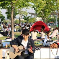 Photos de Young Jin Cho