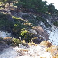 athina nikolaidou's Photo