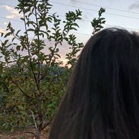 Mary Housain的照片