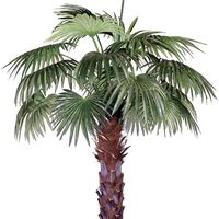 Elena Ostapenko's Photo