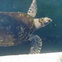 Photos de María Benjumea Cañón