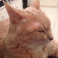 Le foto di Karen Rennie