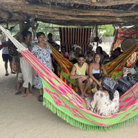 Nicolas Ojeda's Photo