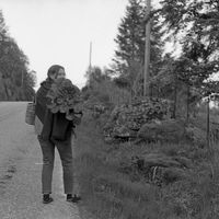 Vilde Bruhn Kinneberg的照片