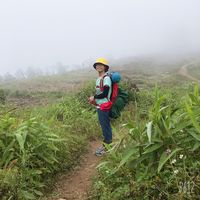 Nguyen  Thanh Thuy的照片