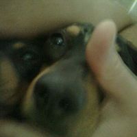 Amy Levinson's Photo