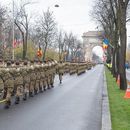 Military Parade's picture