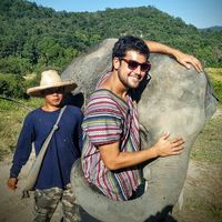 diego armando的照片