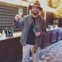 NAVID MAJLESI的照片