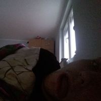 Dusan  Petrovic's Photo