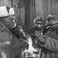 Taylor McDonald's Photo