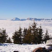 Alice Boulleaux的照片