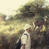 Himanshu Rajmane的照片