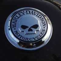 Mitzy le Gain's Photo