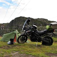 Harry Zilman的照片