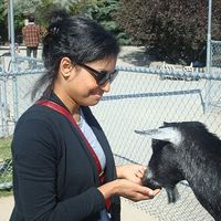 Haleema Yusuf's Photo