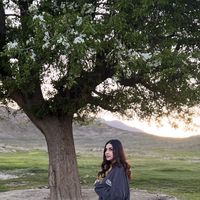 Negin Akbari的照片