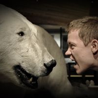 Krzysztof Krakowski的照片