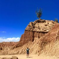 Jhönathan Rödriguez的照片