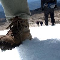 Rodrigo Jiménez's Photo