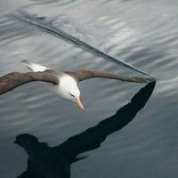 Claudio Galuppini's Photo