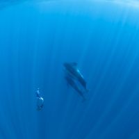 Fotos de Ralph Schnyder