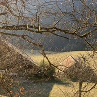 Tania  & Philippe's Photo