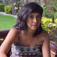 Fotos de Medusa Pájaro