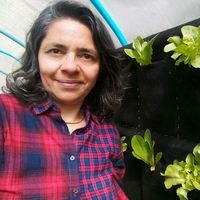 Rosa  Pertierra's Photo