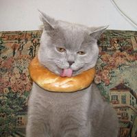 Milton Bixler's Photo