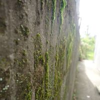 Natalia Algare's Photo