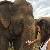 Jessica Comerford's Photo