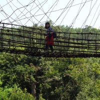 Thao Nguyen的照片