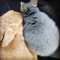 Raquel Guardia Miralles's Photo