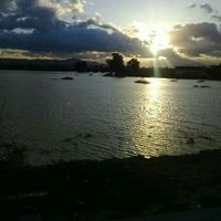 Souha Bouslimi的照片