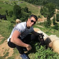 farzin tirgar的照片