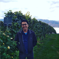 Truong Hieu的照片