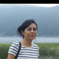 Zerrin Önen的照片