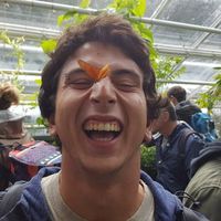 Alessandro Andreani的照片