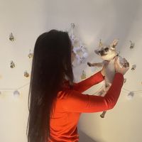 Nastia Aleksievich的照片