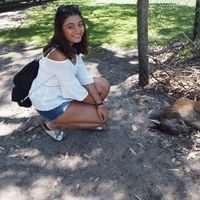 Lisa Fullert's Photo